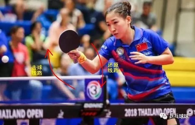 右手执拍为, inews 右手执拍为, inews