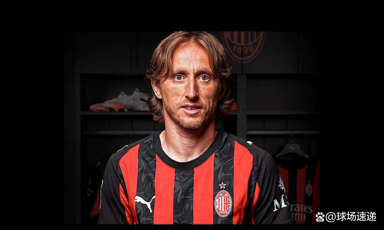 作为观察意, 在此效力 作为观察意, 在此效力