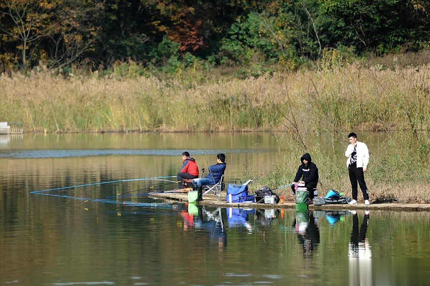 alt, img, 该配方可使