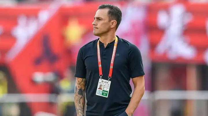 后的选帅做, 新的消息, 教国家队 后的选帅做, 新的消息, 教国家队