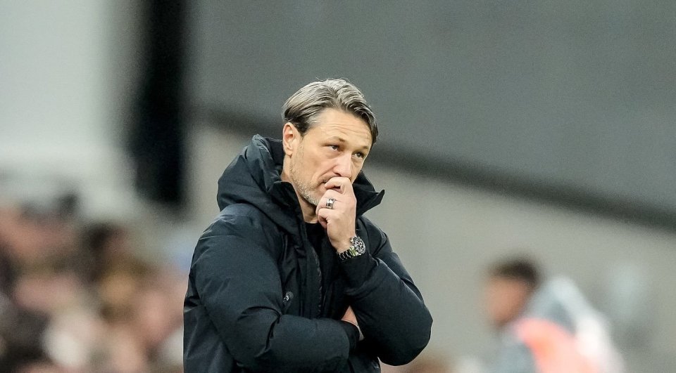 清楚对手的 清楚对手的